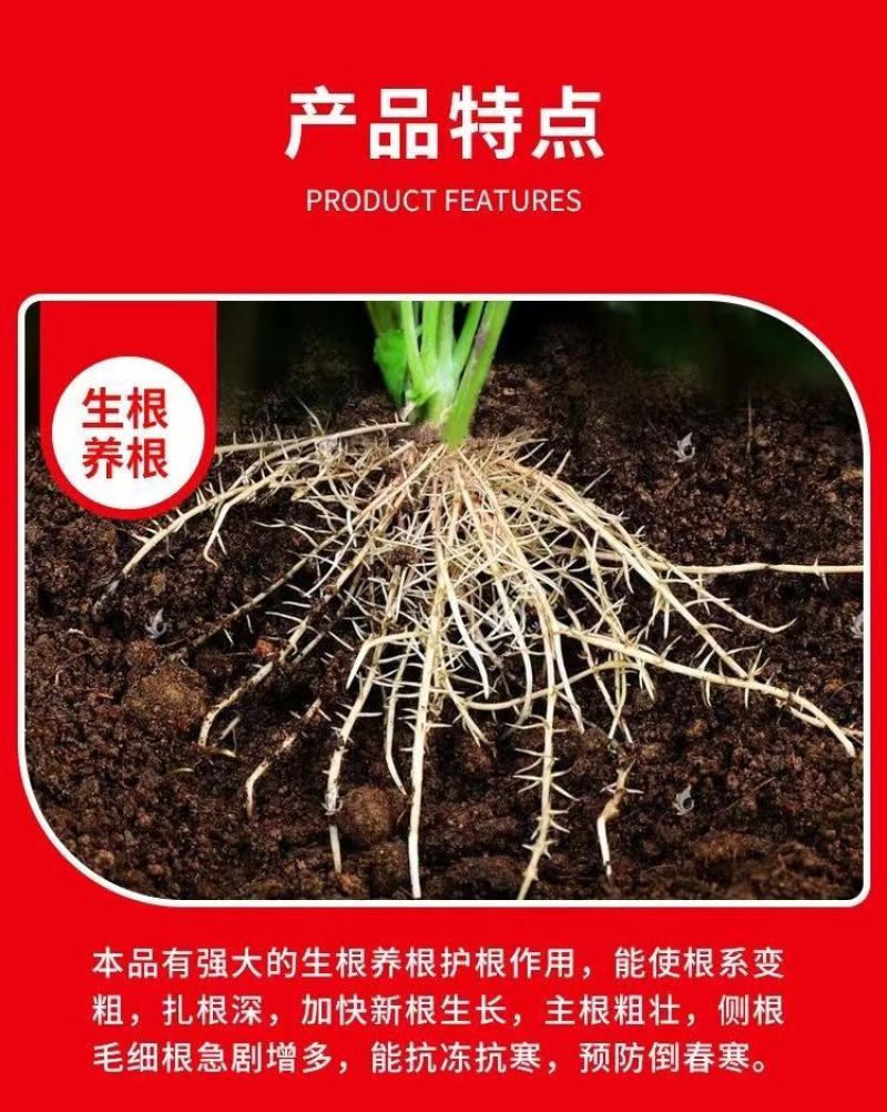 【实力】发酵纯羊粪，添加复合菌种发酵腐熟翻抛过筛，欢迎订购