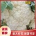 大量菜花现货江苏徐州沛县，货源充足欢迎采购