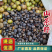 大别山山茶籽新鲜采摘大量有货诚信经营欢迎来电