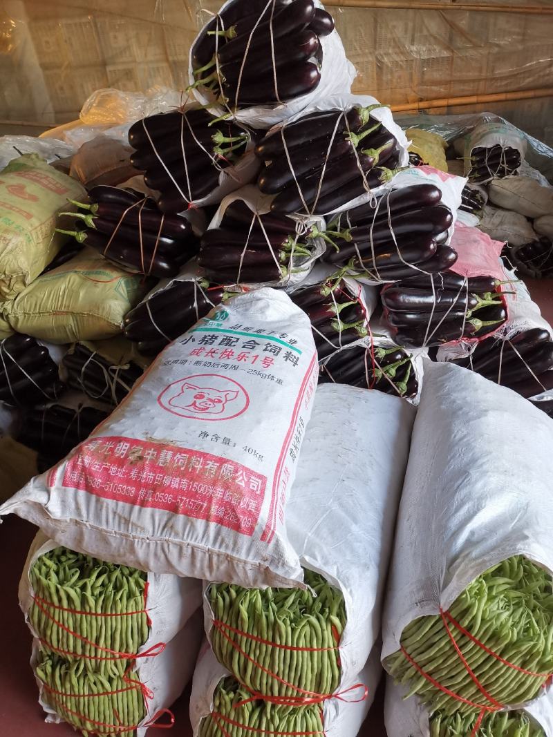 潍坊市青州市绿把长茄，大量上市了，质量很好，价格实惠