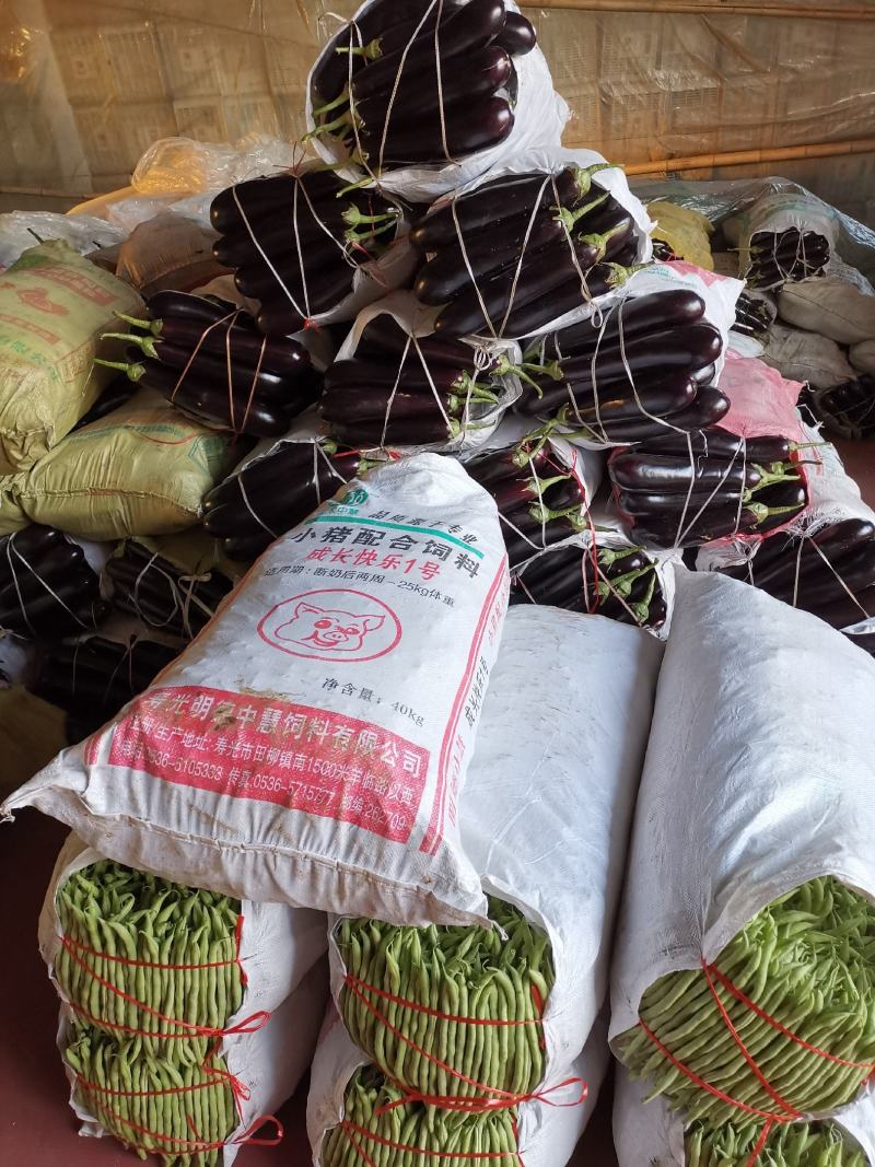 潍坊市青州市绿把长茄，大量上市了，质量很好，价格实惠