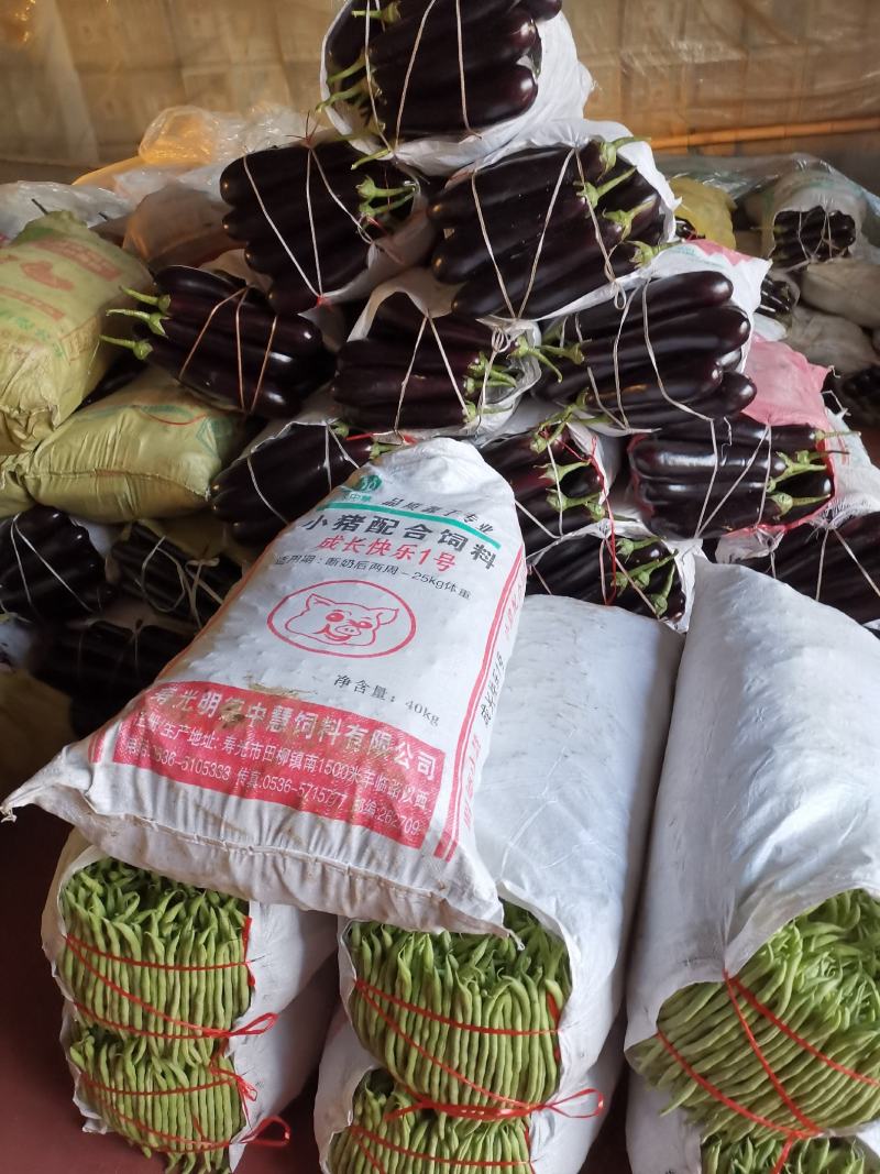 潍坊市青州市绿把长茄，大量上市了，质量很好，价格实惠
