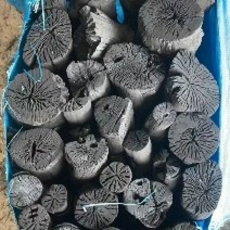 厂家直销荔枝木炭