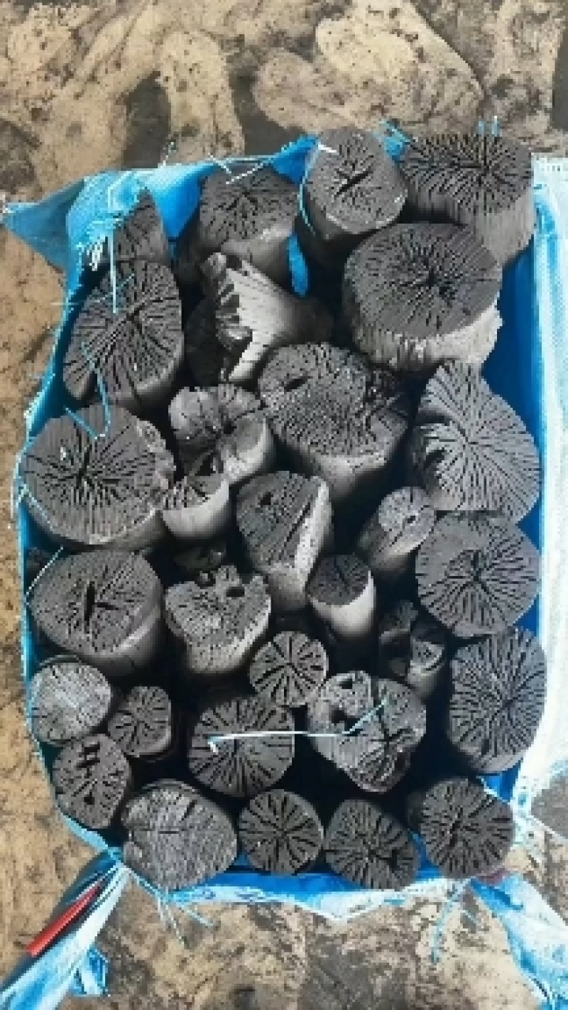 厂家直销荔枝木炭