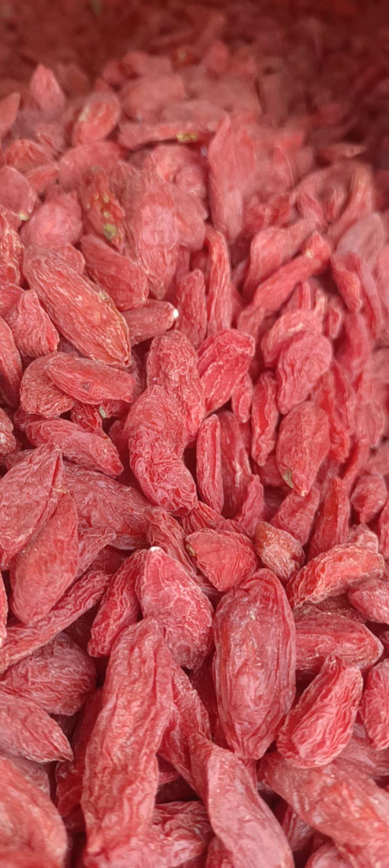 新疆红枸杞无硫磺原生态头茬超大颗粒农户直发包邮