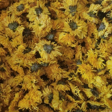 婺源皇菊干花，，