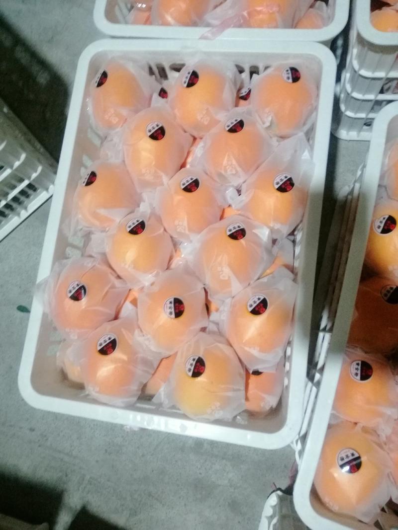 《火爆》湖北橙子，秭归脐橙，纽荷尔脐，平台商超欢迎来电。
