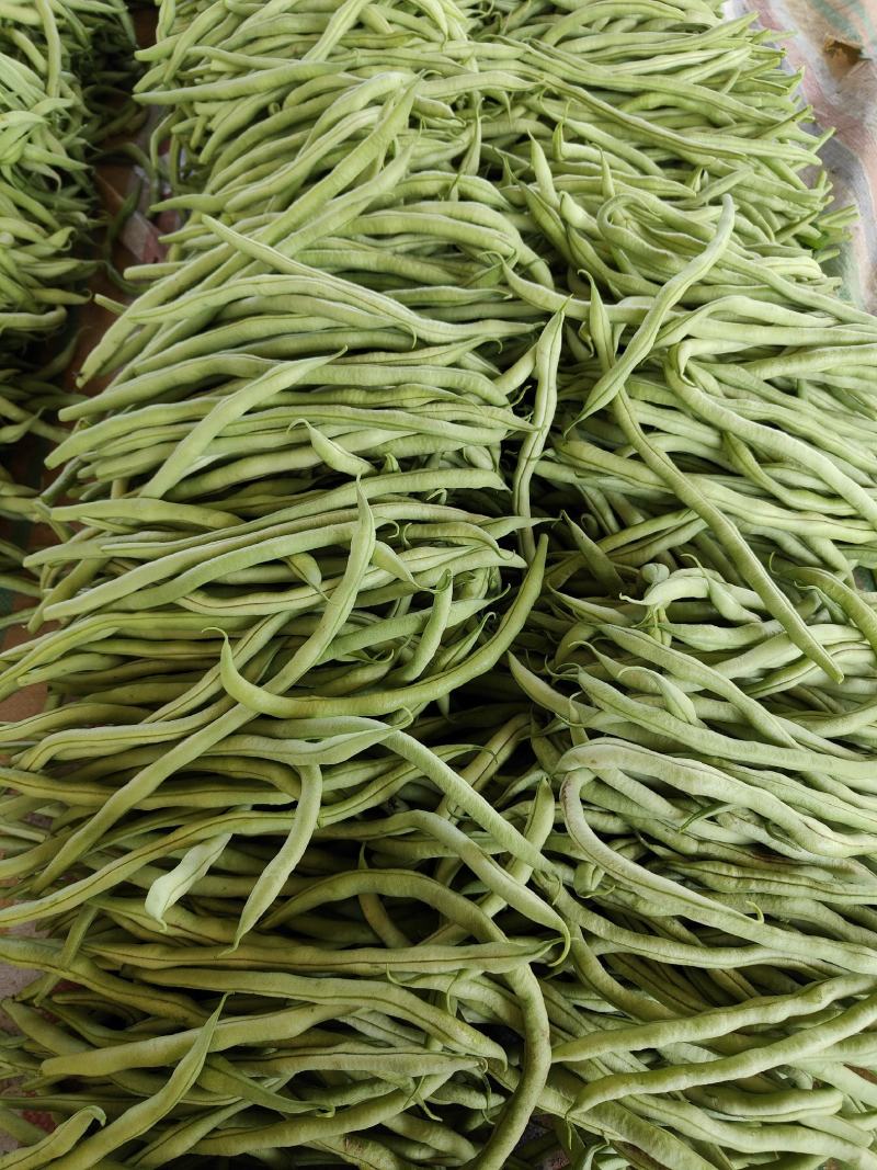 各位老板我这里精品芸豆大量供应，欢迎老板前来选购