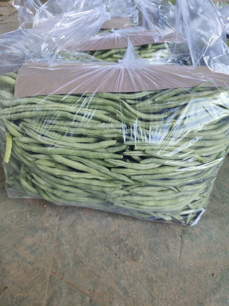 各位老板我这里精品芸豆大量供应，欢迎老板前来选购
