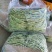 各位老板我这里精品芸豆大量供应，欢迎老板前来选购