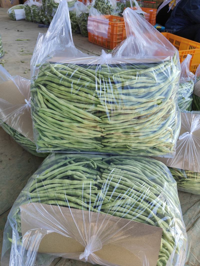 各位老板我这里精品芸豆大量供应，欢迎老板前来选购