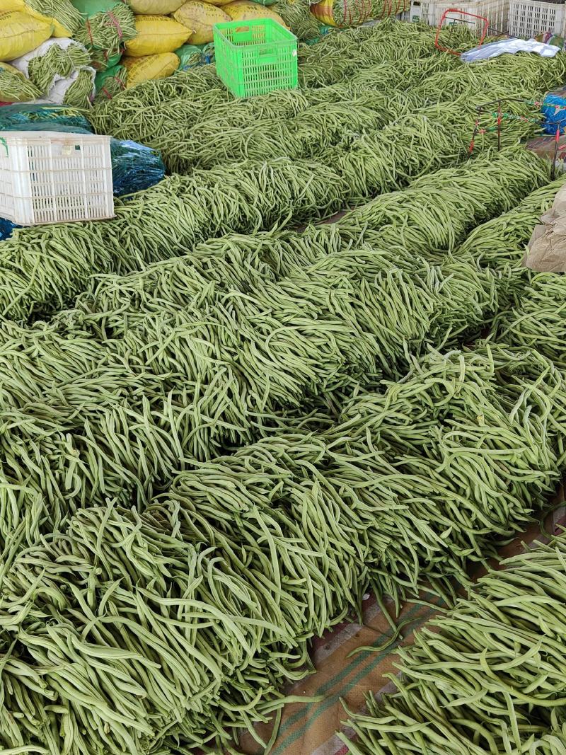 各位老板我这里精品芸豆大量供应，欢迎老板前来选购