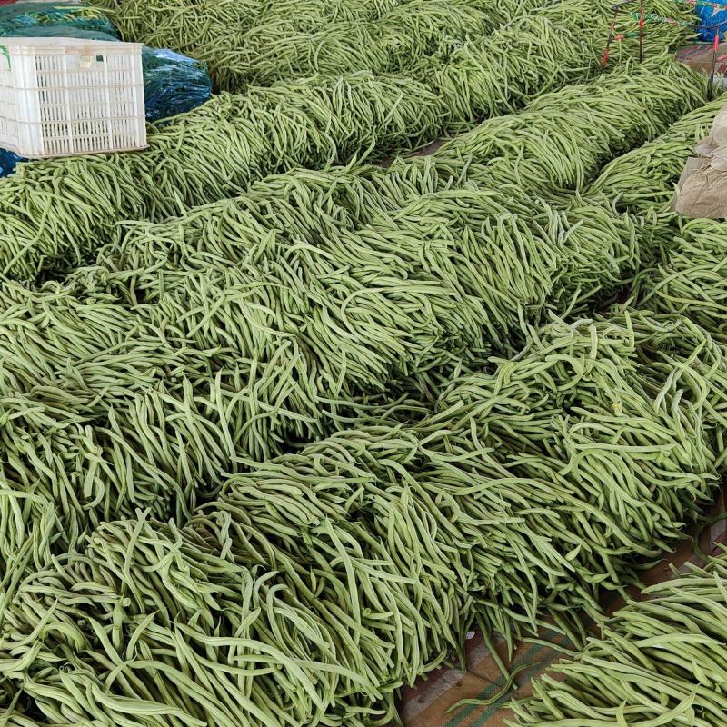 各位老板我这里精品芸豆大量供应，欢迎老板前来选购