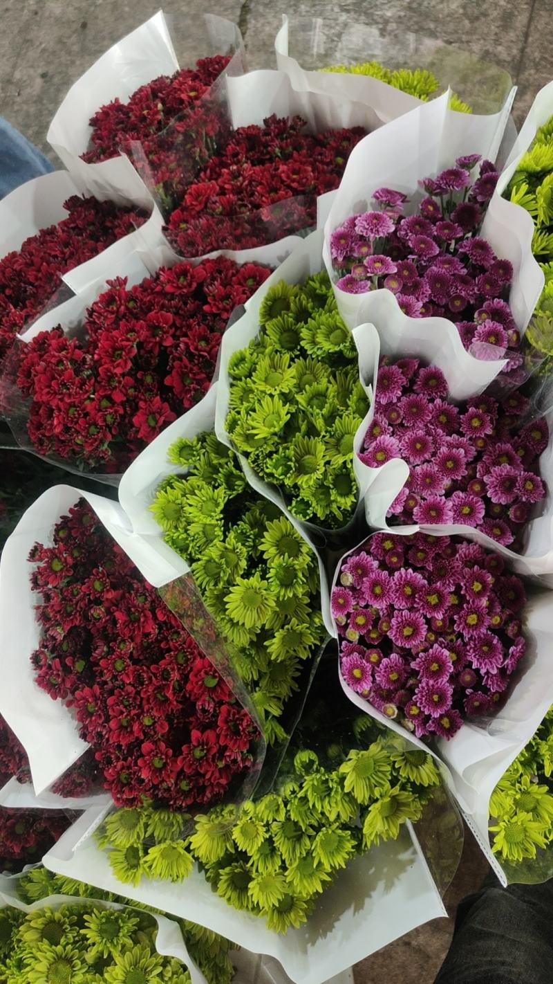 云南花卉基地直供小雏菊鲜切花节日花束庆典鲜花小菊花