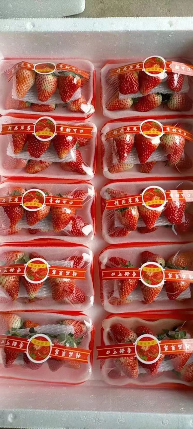 天仙醉草莓奶油草莓