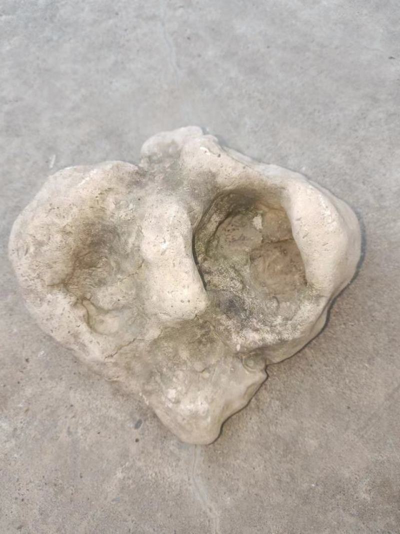 料姜石姜石水洗货无杂无泥土年份够。需要的速度