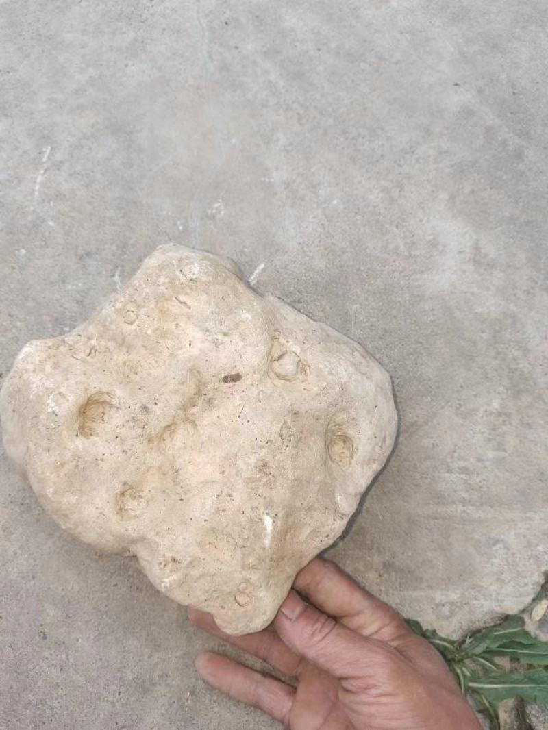 料姜石姜石水洗货无杂无泥土年份够。需要的速度