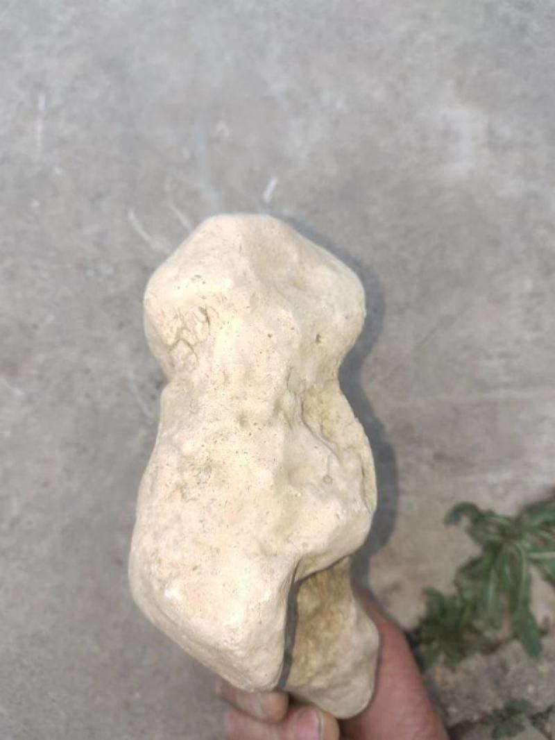 料姜石姜石水洗货无杂无泥土年份够。需要的速度