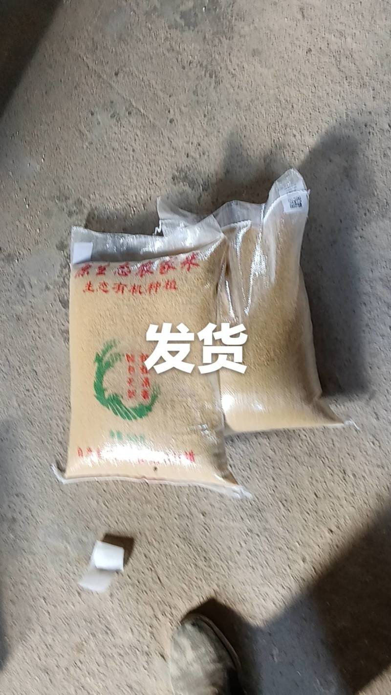 精制小米