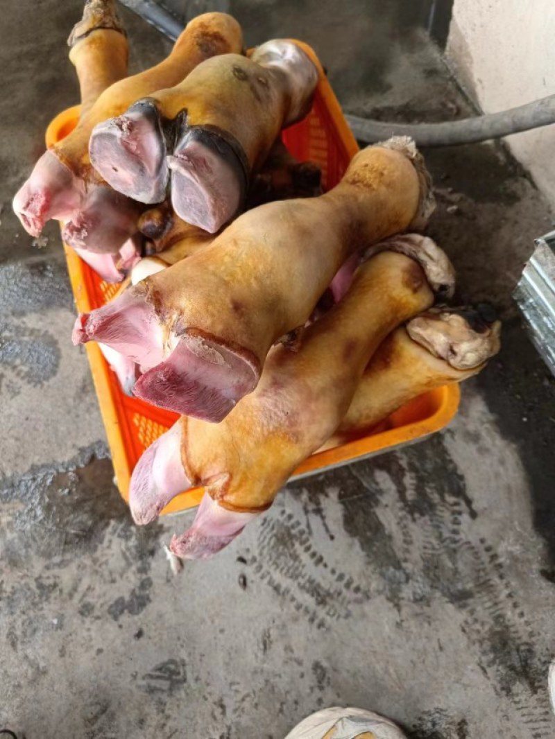 火烧牛蹄