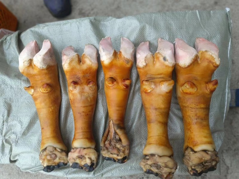 火烧牛蹄