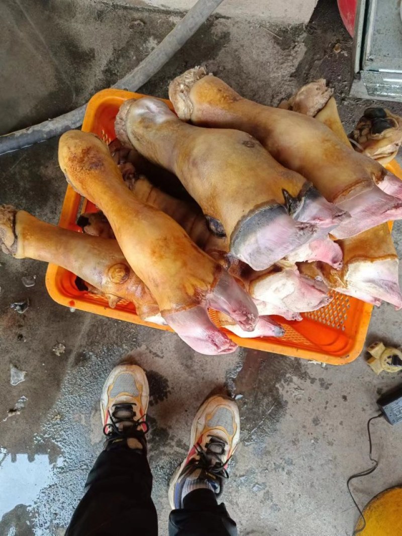 火烧牛蹄