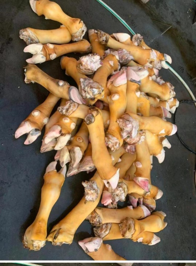 火烧牛蹄