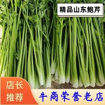 【鲍芹】优质山东芹菜，产地直供，品质保证，诚信经营，可视频