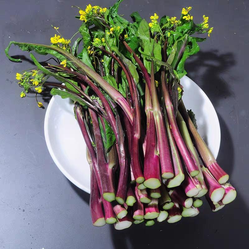 红菜苔，菜苔，产地一条龙服务，现摘现发，量大从优
