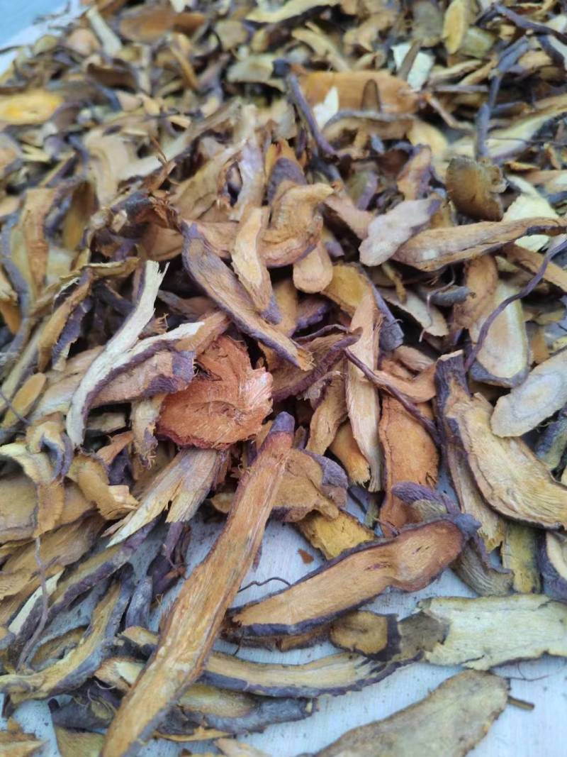 供应虎杖切片干货