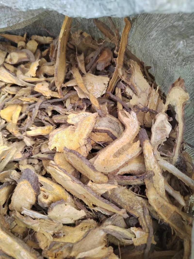 供应虎杖切片干货