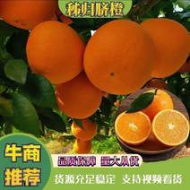【伦晚夏橙】爆汁脐橙，口感甜，产地直销，树上鲜果。