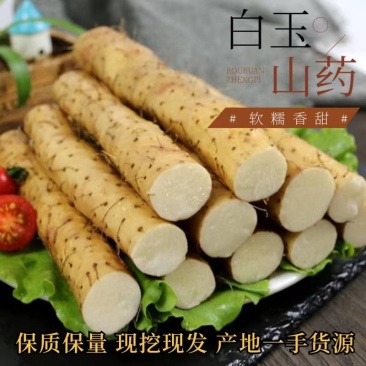 宁夏银川沙地白玉山药个头均匀，大量现货，有需要的找我