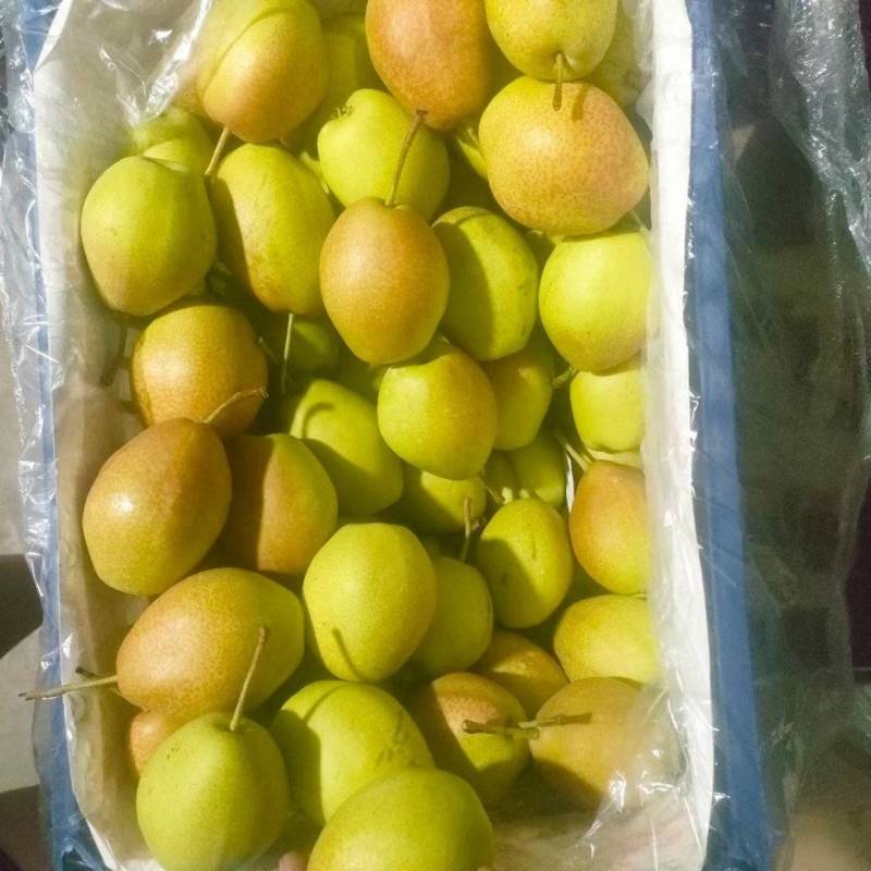 红香酥