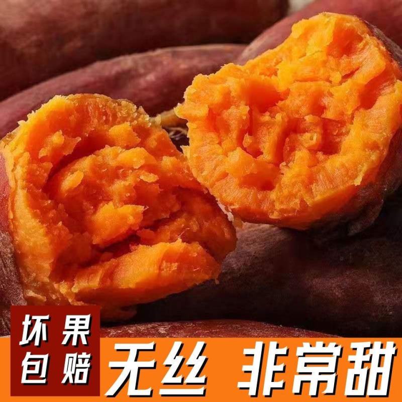 红薯大量上市产地直发货源充足量大从优欢迎客商咨询