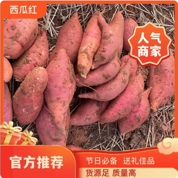 红薯四川西瓜红薯烤红薯沙地瓜蜜薯大量有货大小规格齐全