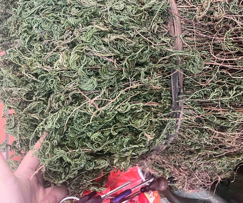 石上柏扎巴切段两种规格