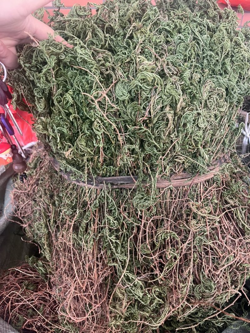 石上柏扎巴切段两种规格