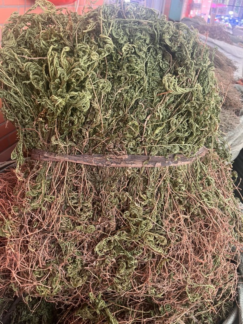 石上柏扎巴切段两种规格