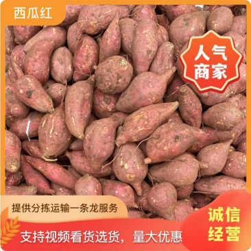 四川红薯西瓜红地瓜沙地六鳌蜜薯烧烤红薯电商超市规格齐全