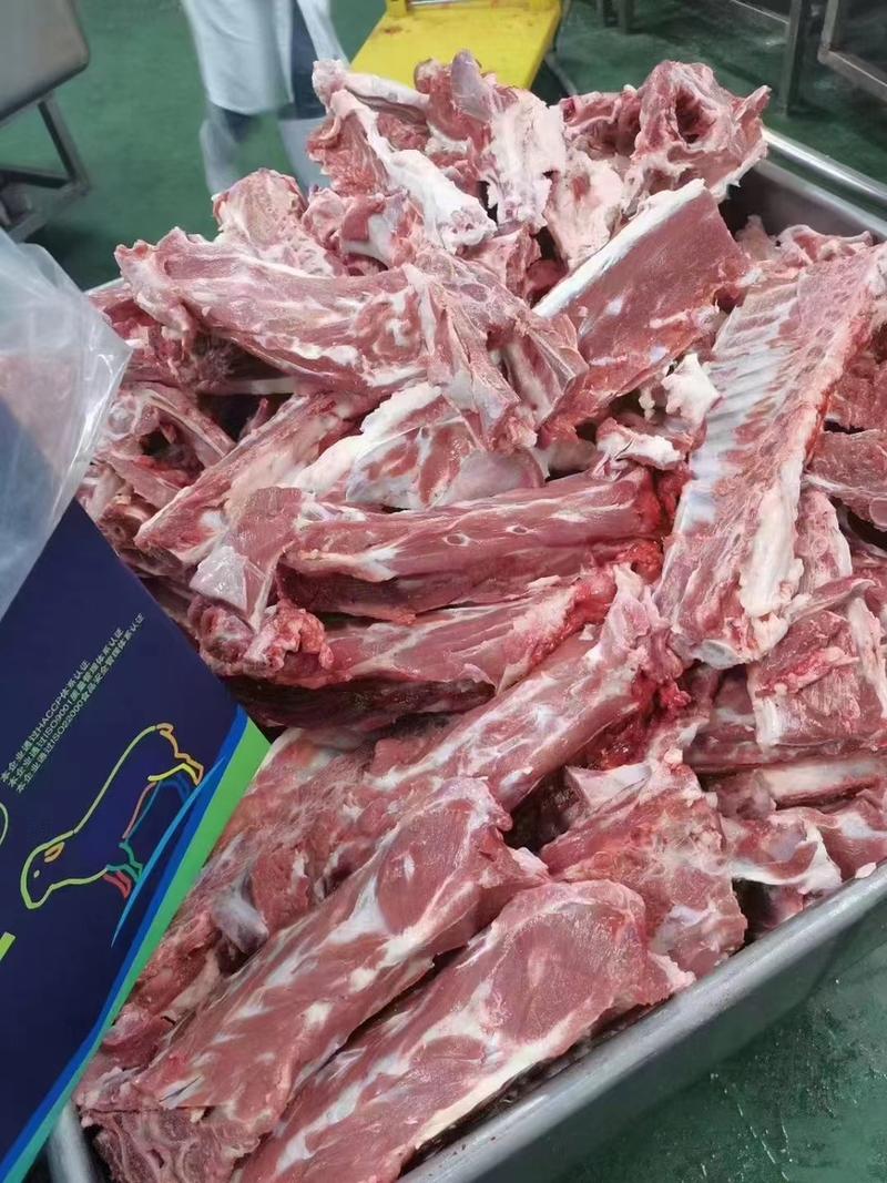清真鲜羊本地满肉羊脊骨货源支持发货河南郑州现货