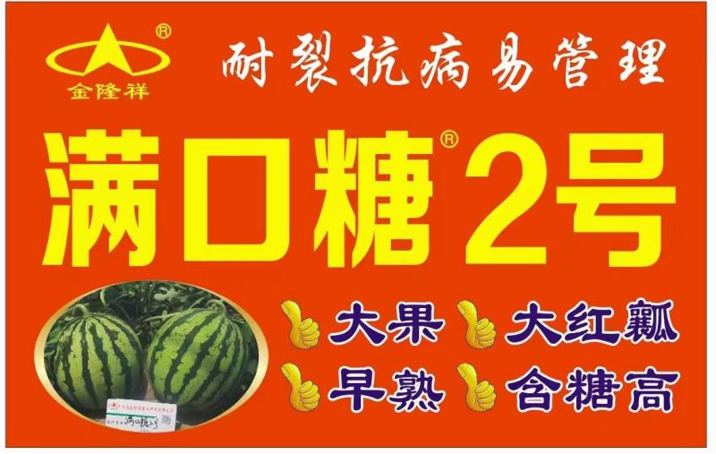 满口糖2号F1美都类西瓜种子早熟高糖大红肉甜度14度耐裂