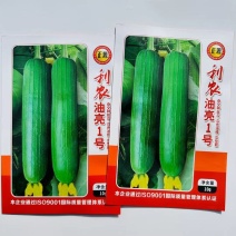 特长棱丝瓜种籽有棱丝瓜种子菜种籽春季爬藤丝瓜籽寿光蔬菜种