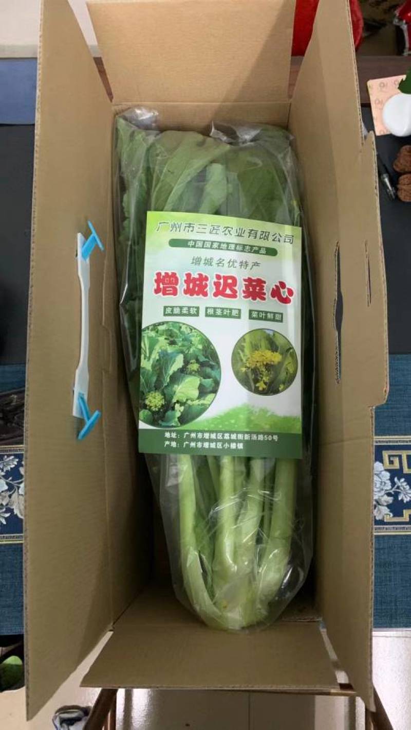 增城迟菜心，整车发，商超，市场。团购一件代发。