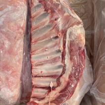 羔羊肋排，纯干内蒙羔羊肋排，肉厚均匀，一件也是批发价。