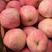山东红富士苹果产地批发货源充足保质保量全国发货