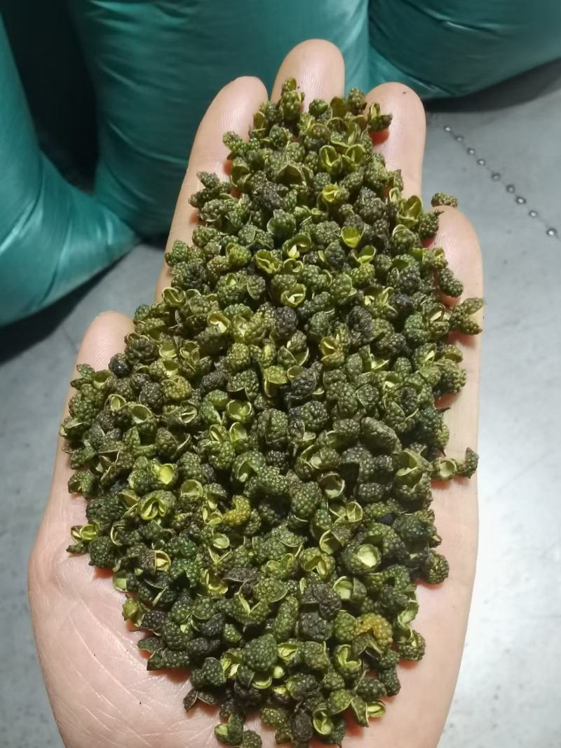 包邮云南金阳青花椒，青椒云南花椒产地直发品质保障