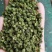 包邮云南金阳青花椒，青椒云南花椒产地直发品质保障