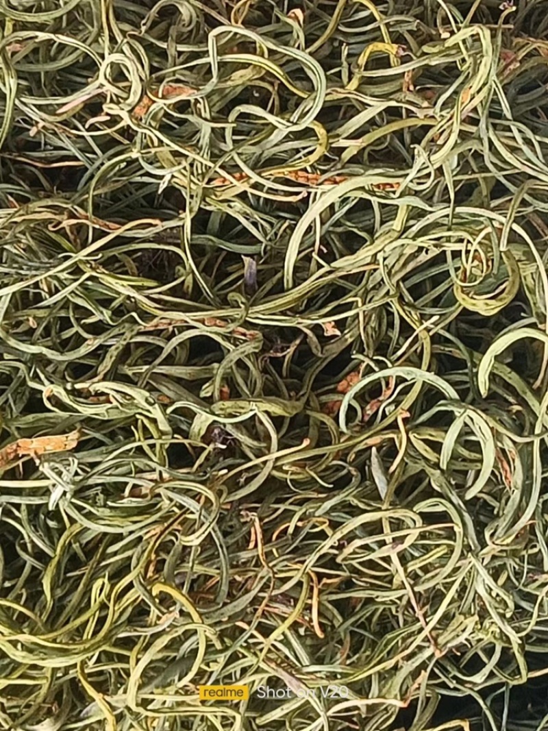 化石草