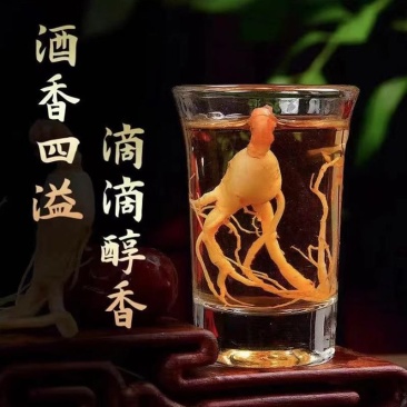 长白山人参虫草酒，小人参酒纯粮食酒42度，支持在线下单！